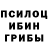 Псилоцибиновые грибы Cubensis Ethanos