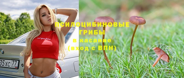 герыч Пестово